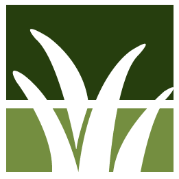 Gilroy Lawn Clean Up