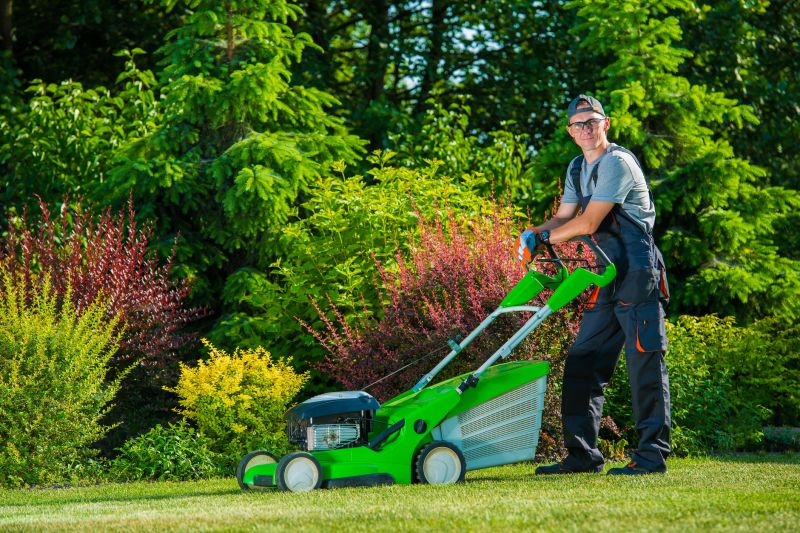 Independent Lawn Care Specialists