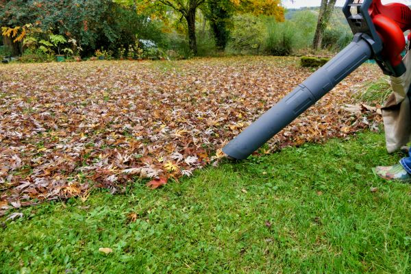 Cost of Leaf Vacuuming Service in Gilroy