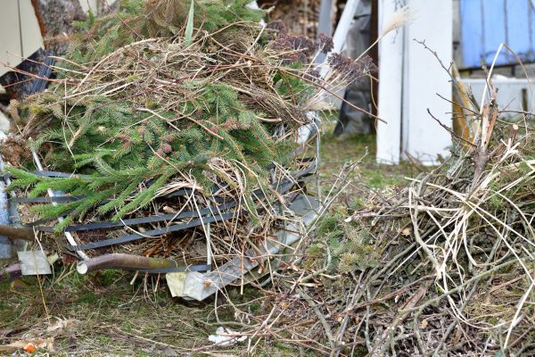 Cost of Yard Debris Removal in Gilroy