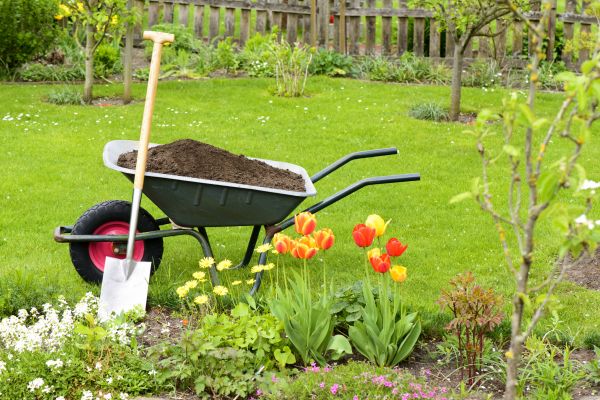 Cost of Spring Yard Cleanup in Gilroy