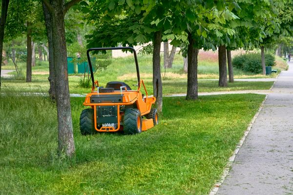 Cost of Landscaping Cleanup Service in Gilroy