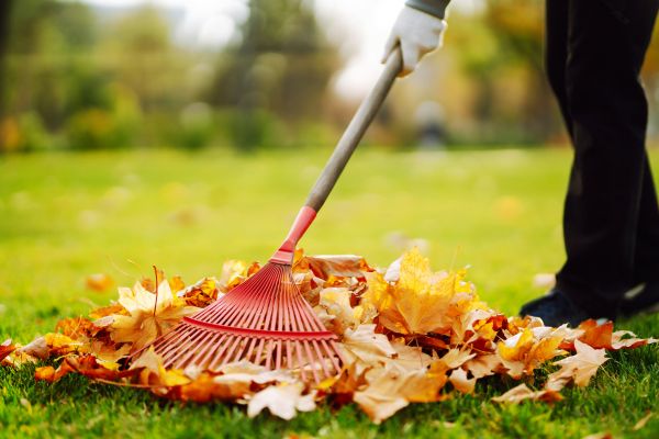 Cost of Ditch Leaf Removal in Gilroy