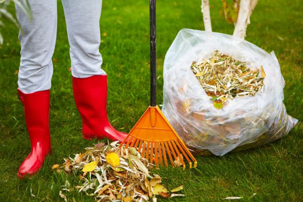 Cost of Leaf Disposal Service in Gilroy