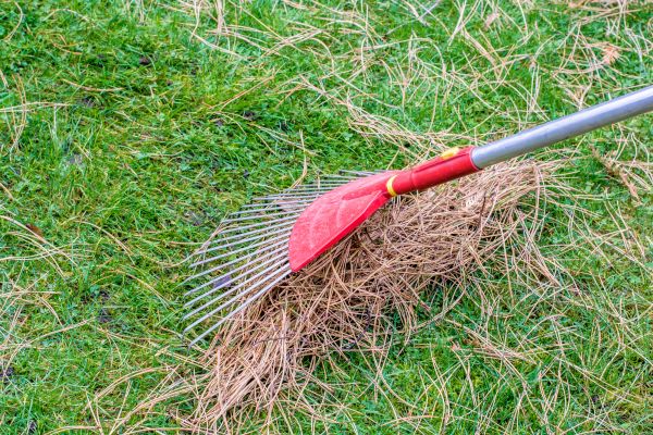 Cost of Yard Raking in Gilroy