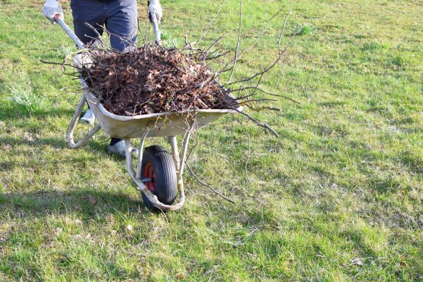 Cost of Yard Brush Removal in Gilroy