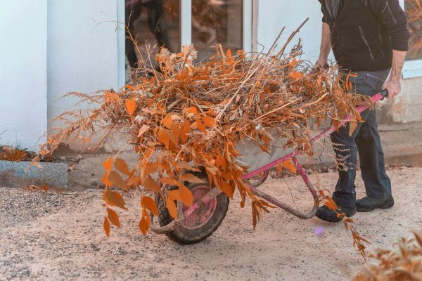 Cost of Lawn Debris Cleanup in Gilroy