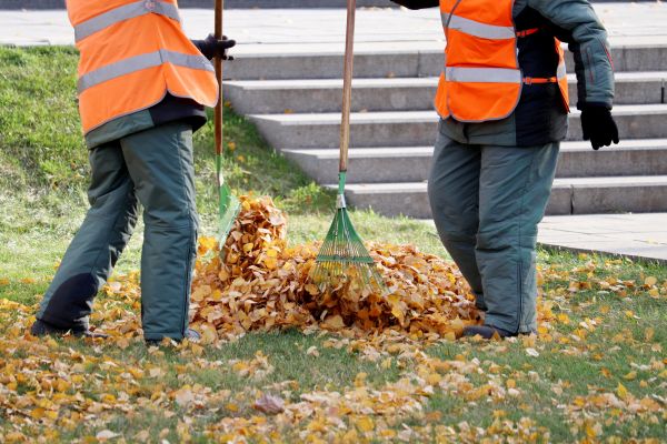 Cost of Leaf Hauling Service in Gilroy
