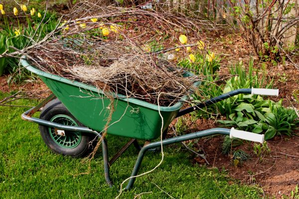 Cost of Lawn Waste Removal in Gilroy