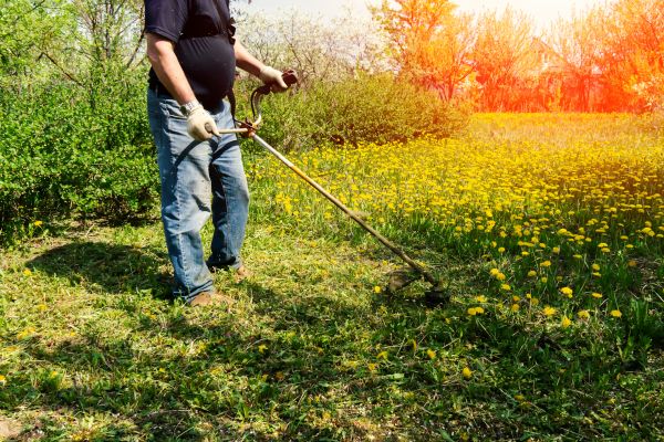 Cost of Yard Clearing Service in Gilroy