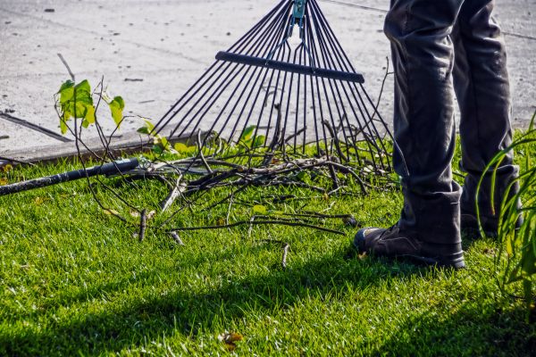 Cost of Yard Debris Cleanup in Gilroy