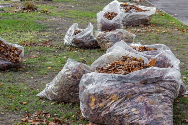 Cost of Leaf Pile Disposal in Gilroy