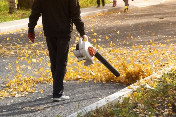 Cost of Commercial Leaf Removal in Gilroy